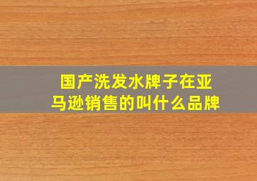 国产洗发水牌子在亚马逊销售的叫什么品牌