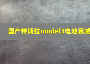 国产特斯拉model3电池衰减