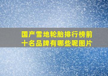 国产雪地轮胎排行榜前十名品牌有哪些呢图片