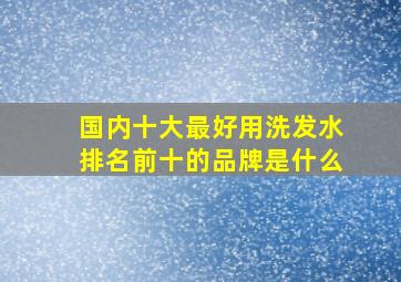 国内十大最好用洗发水排名前十的品牌是什么