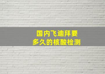 国内飞迪拜要多久的核酸检测