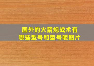 国外的火箭炮战术有哪些型号和型号呢图片