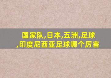 国家队,日本,五洲,足球,印度尼西亚足球哪个厉害