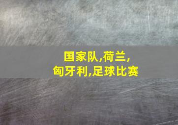 国家队,荷兰,匈牙利,足球比赛