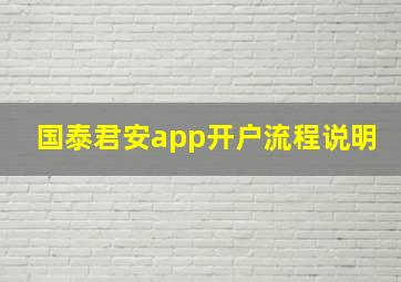 国泰君安app开户流程说明