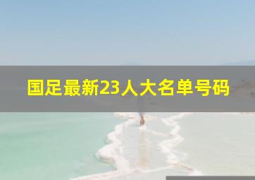 国足最新23人大名单号码