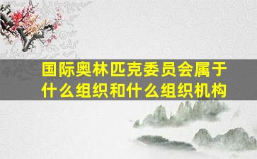 国际奥林匹克委员会属于什么组织和什么组织机构