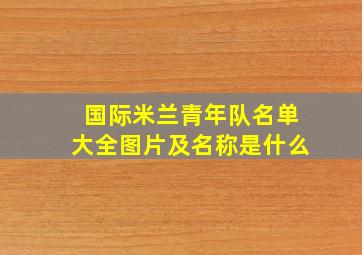 国际米兰青年队名单大全图片及名称是什么