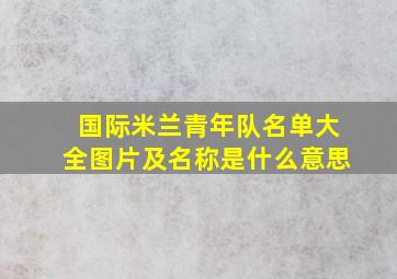 国际米兰青年队名单大全图片及名称是什么意思