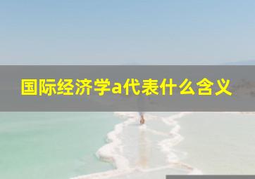 国际经济学a代表什么含义