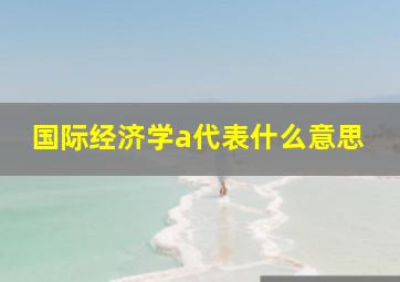 国际经济学a代表什么意思