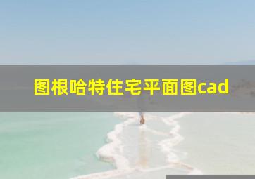 图根哈特住宅平面图cad