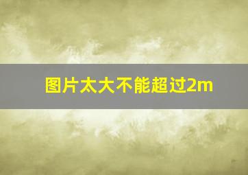 图片太大不能超过2m