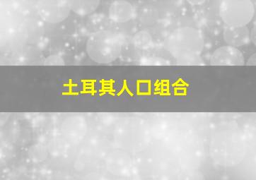 土耳其人口组合