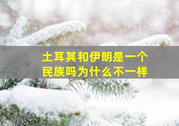 土耳其和伊朗是一个民族吗为什么不一样