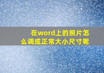 在word上的照片怎么调成正常大小尺寸呢