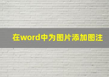 在word中为图片添加图注