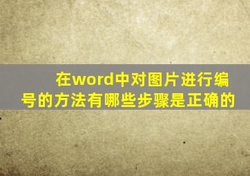 在word中对图片进行编号的方法有哪些步骤是正确的