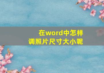 在word中怎样调照片尺寸大小呢