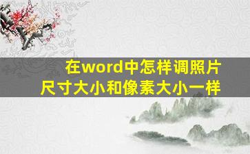 在word中怎样调照片尺寸大小和像素大小一样