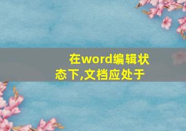 在word编辑状态下,文档应处于