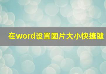 在word设置图片大小快捷键