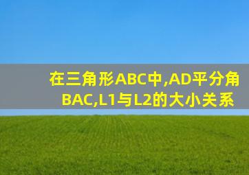 在三角形ABC中,AD平分角BAC,L1与L2的大小关系