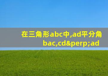 在三角形abc中,ad平分角bac,cd⊥ad