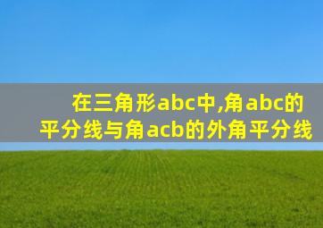 在三角形abc中,角abc的平分线与角acb的外角平分线