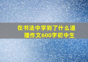 在书法中学到了什么道理作文600字初中生