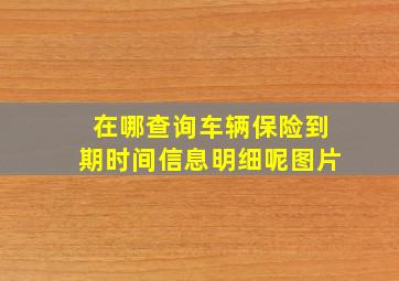 在哪查询车辆保险到期时间信息明细呢图片