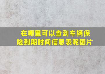 在哪里可以查到车辆保险到期时间信息表呢图片