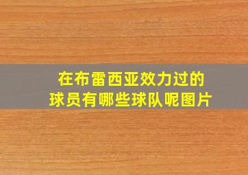 在布雷西亚效力过的球员有哪些球队呢图片