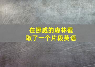 在挪威的森林截取了一个片段英语