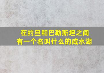 在约旦和巴勒斯坦之间有一个名叫什么的咸水湖