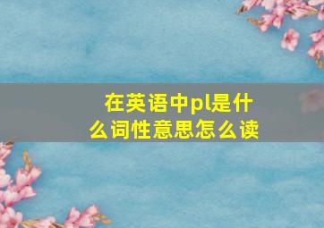 在英语中pl是什么词性意思怎么读