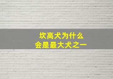 坎高犬为什么会是最大犬之一