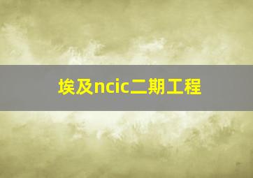 埃及ncic二期工程