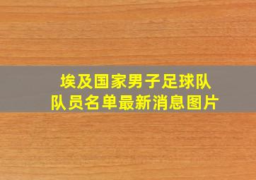 埃及国家男子足球队队员名单最新消息图片