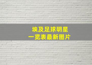 埃及足球明星一览表最新图片