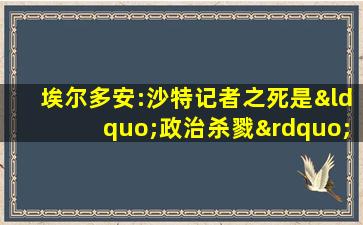 埃尔多安:沙特记者之死是“政治杀戮”