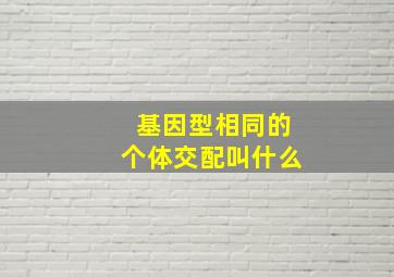 基因型相同的个体交配叫什么