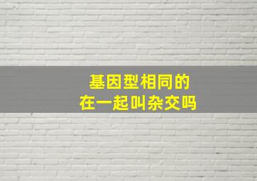 基因型相同的在一起叫杂交吗