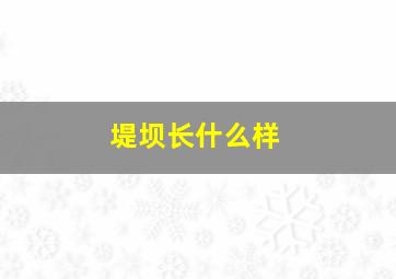 堤坝长什么样