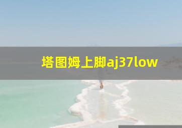 塔图姆上脚aj37low