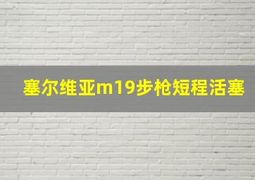 塞尔维亚m19步枪短程活塞