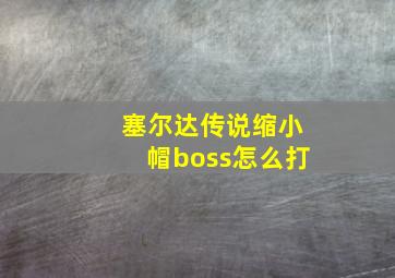 塞尔达传说缩小帽boss怎么打