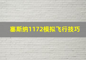 塞斯纳1172模拟飞行技巧