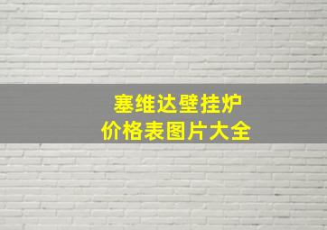 塞维达壁挂炉价格表图片大全