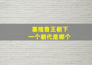 塞维鲁王朝下一个朝代是哪个